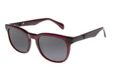 SUNGLASSES - OCCL3986