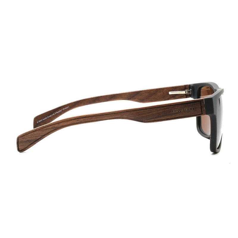 SUNGLASSES - OCCL5175