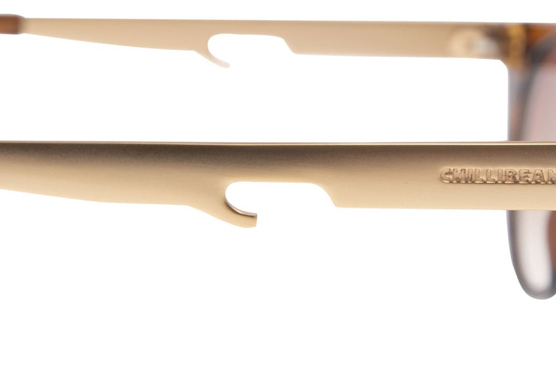 SUNGLASSES - OCCL3869