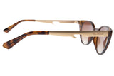 SUNGLASSES - OCCL3869