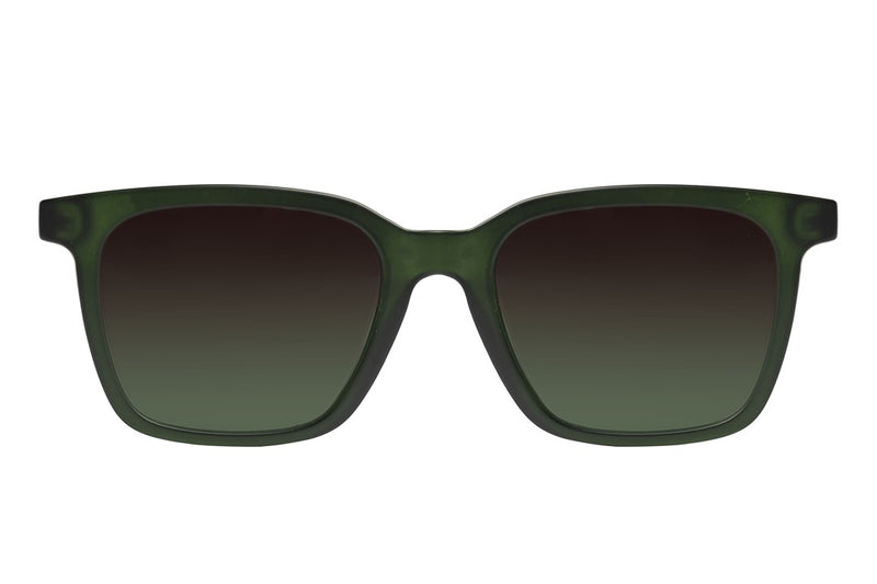 SUNGLASSES - OCCL4583