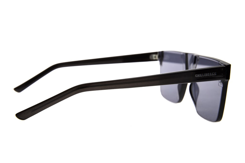 SUNGLASSES - OCCL3961