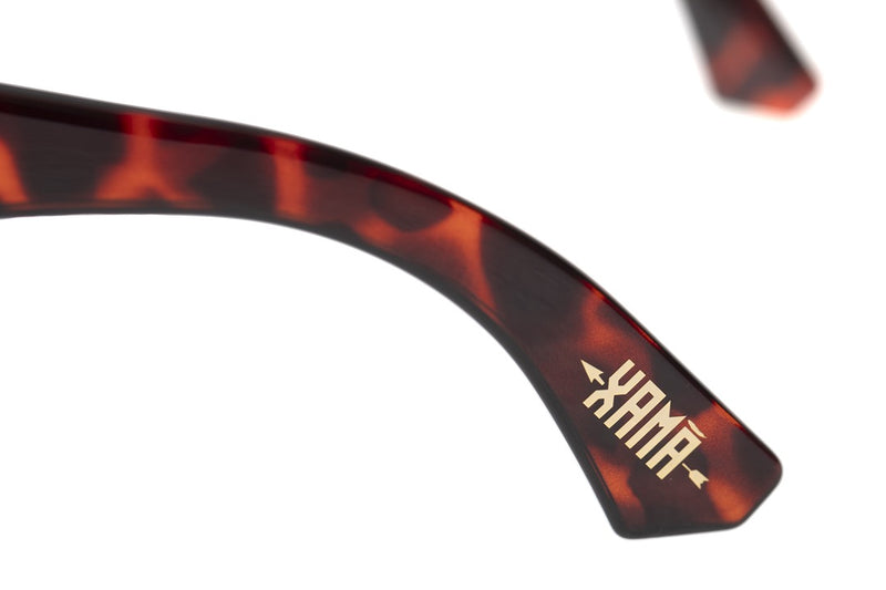SUNGLASSES - OCCL4178
