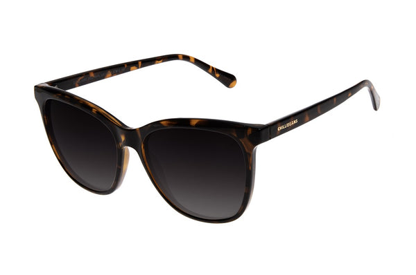 SUNGLASSES - OCCL4383