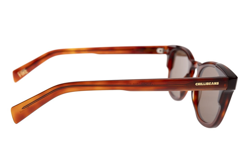 SUNGLASSES - OCCL4256
