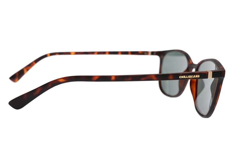 SUNGLASSES - OCCL4044