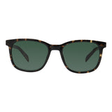SUNGLASSES - OCCL5694