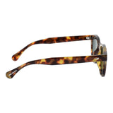 SUNGLASSES - OCCL5881