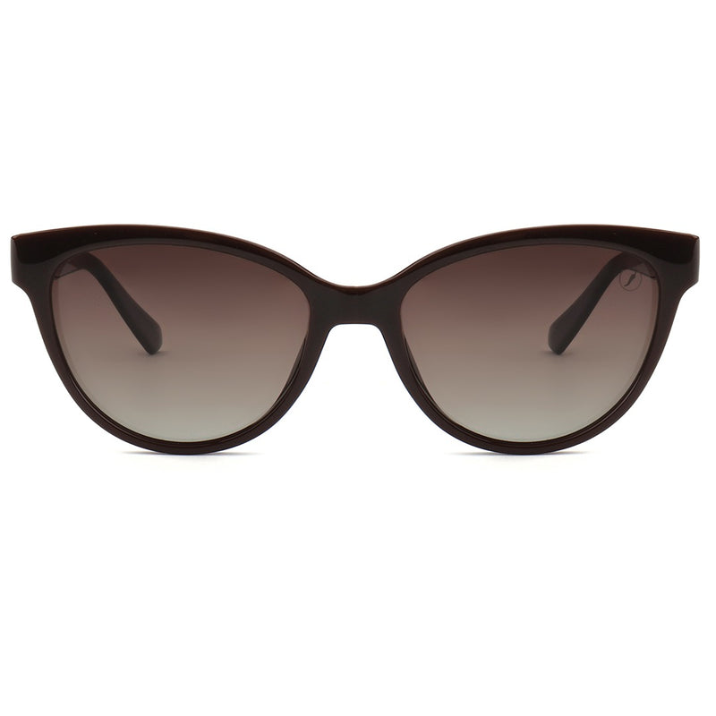 SUNGLASSES - OCCL5159