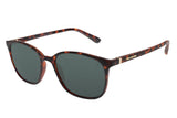 SUNGLASSES - OCCL4044