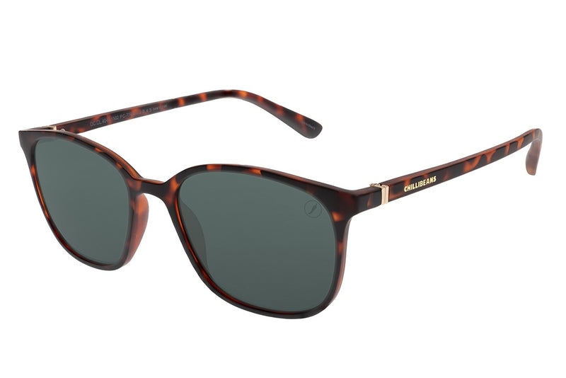 SUNGLASSES - OCCL4044