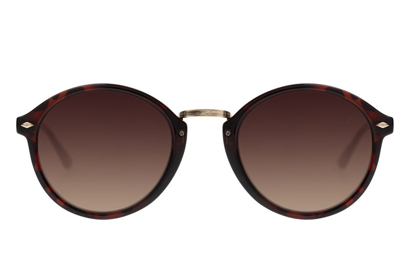 SUNGLASSES - OCCL4009