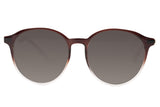 SUNGLASSES - OCCL4007
