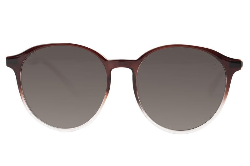 SUNGLASSES - OCCL4007