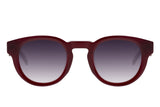 SUNGLASSES - OCCL4252