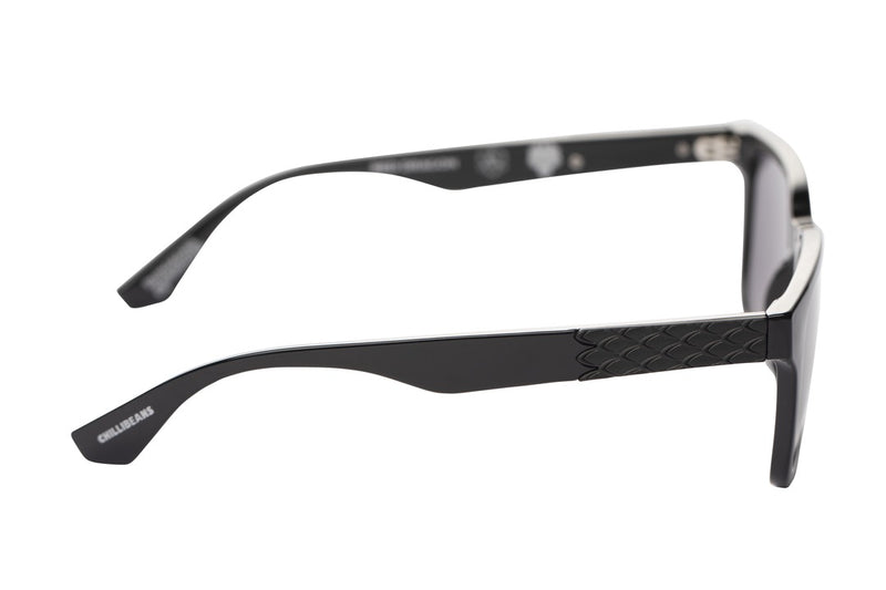 SUNGLASSES - OCCL3975