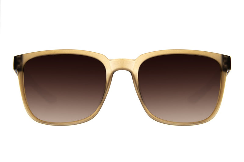 SUNGLASSES - OCCL4449