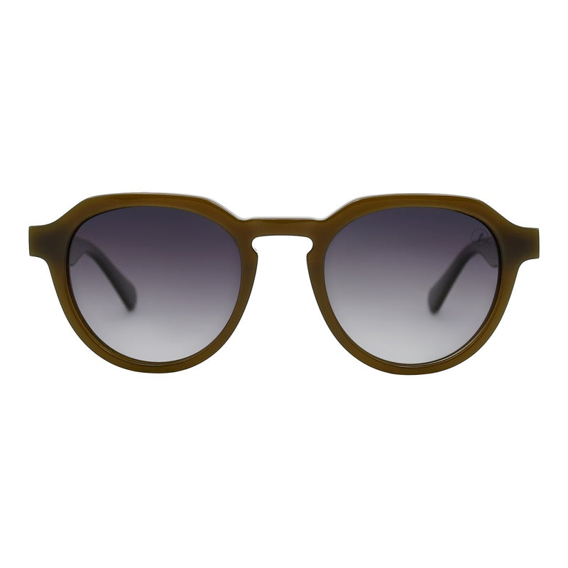 SUNGLASSES - OCCL5400