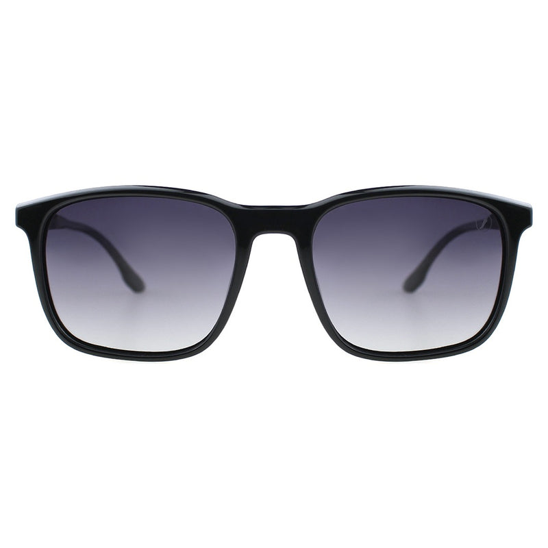 SUNGLASSES - OCCL5186