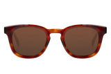 SUNGLASSES - OCCL4256