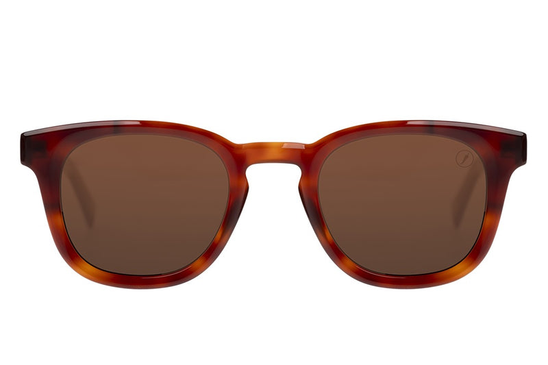 SUNGLASSES - OCCL4256