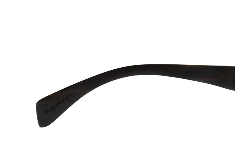 SUNGLASSES - OCCL4513