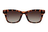 SUNGLASSES - OCCL4027