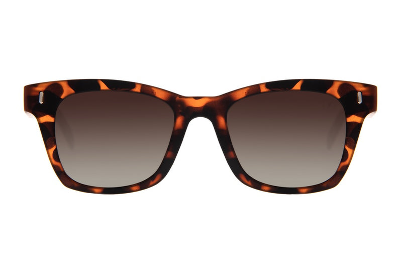 SUNGLASSES - OCCL4027