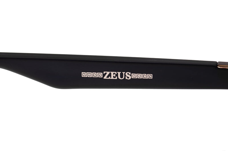 SUNGLASSES - OCCL4215