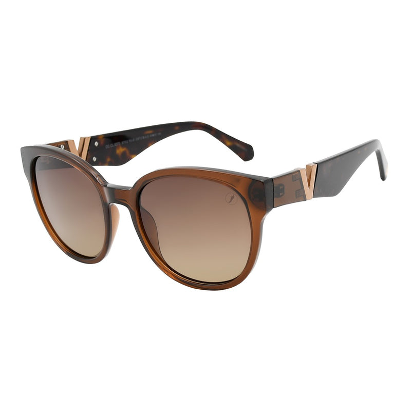SUNGLASSES - OCCL5373