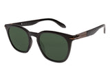 SUNGLASSES - OCCL4098