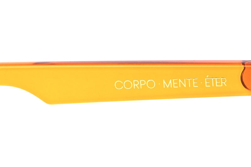 SUNGLASSES - OCCL3950