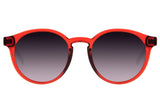 SUNGLASSES - OCCL3813