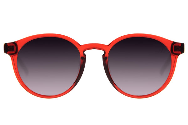 SUNGLASSES - OCCL3813