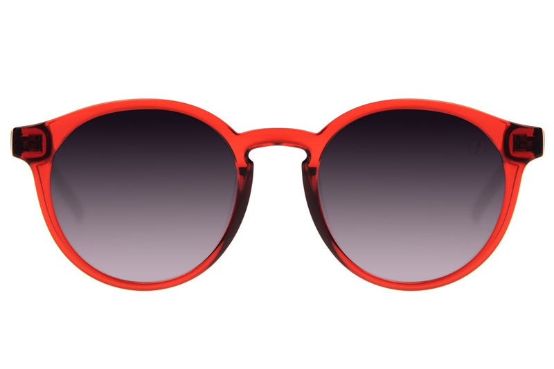 SUNGLASSES - OCCL3813
