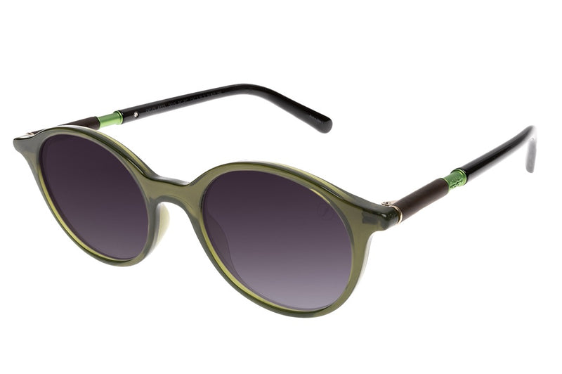SUNGLASSES - OCCL4133