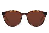 SUNGLASSES - OCCL4012