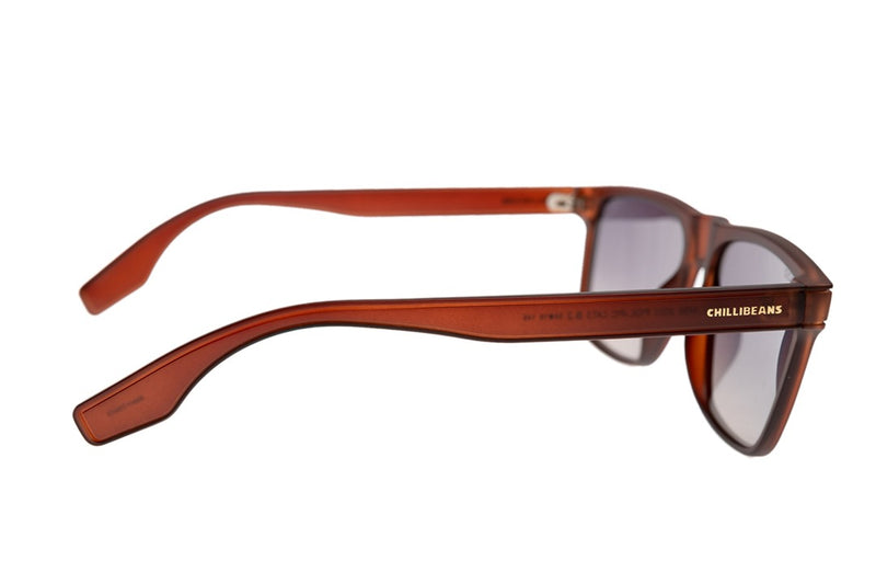 SUNGLASSES - OCCL4494