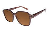 SUNGLASSES - OCCL4478
