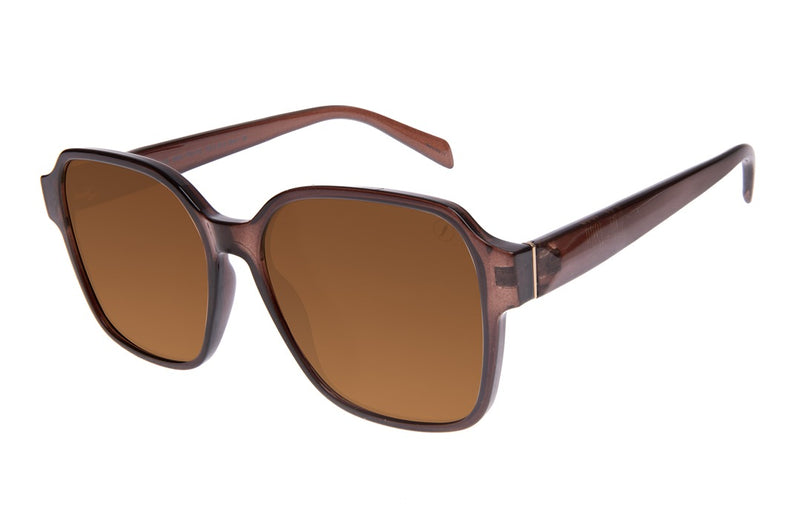 SUNGLASSES - OCCL4478