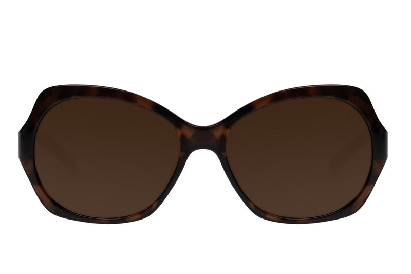 SUNGLASSES - OCCL3787