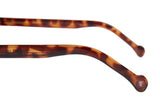 SUNGLASSES - OCCL4173
