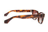 SUNGLASSES - OCCL4688