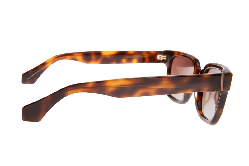SUNGLASSES - OCCL4688
