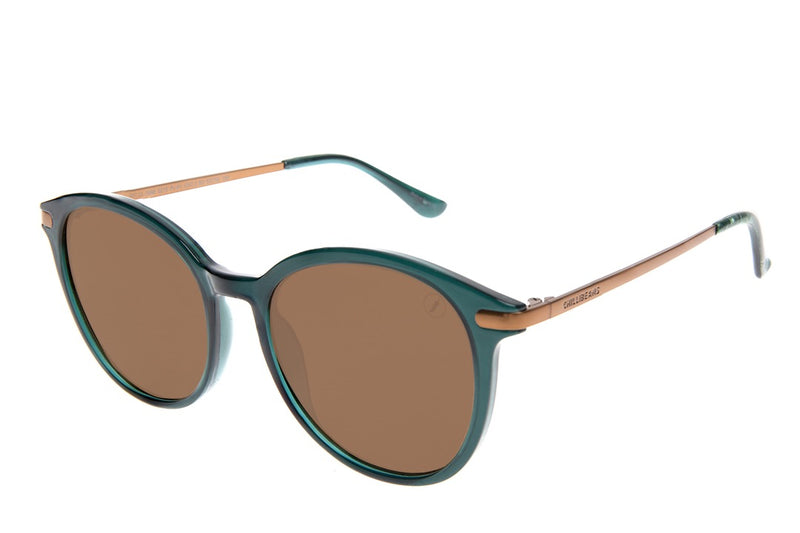 SUNGLASSES - OCCL3998
