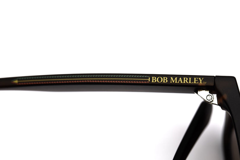SUNGLASSES - OCCL4441