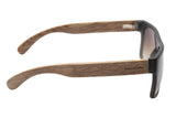 SUNGLASSES - OCCL3658