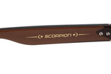 SUNGLASSES - OCCL4182