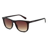 SUNGLASSES - OCCL5038