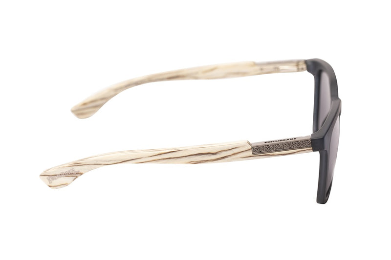 SUNGLASSES - OCCL4583